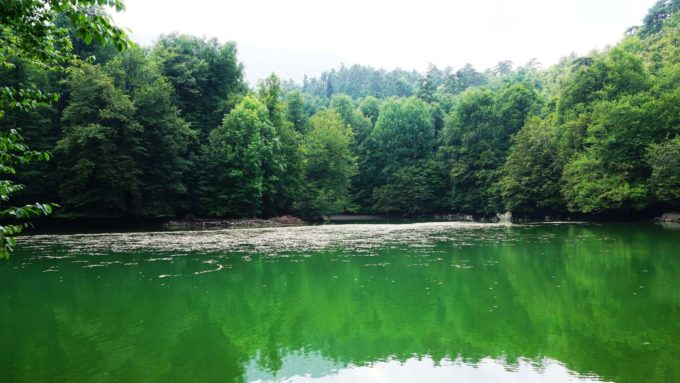 Bolu Yedigöller Derin Göl Yedigöller Gezi Rehberi