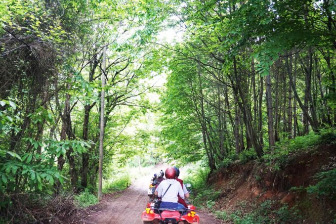 Bolu Maşukiye Safari Turu