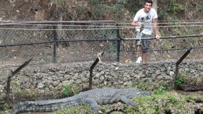 Kenya Mombasa Haller Parkı Timsah