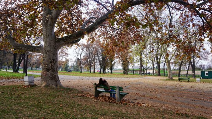 Sırbistan Belgrad Kalemegdan Parkı 4