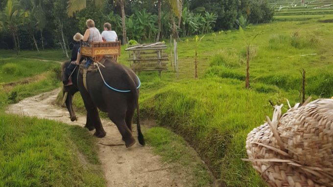 Bali, Fil Turu (Elephant Garden)