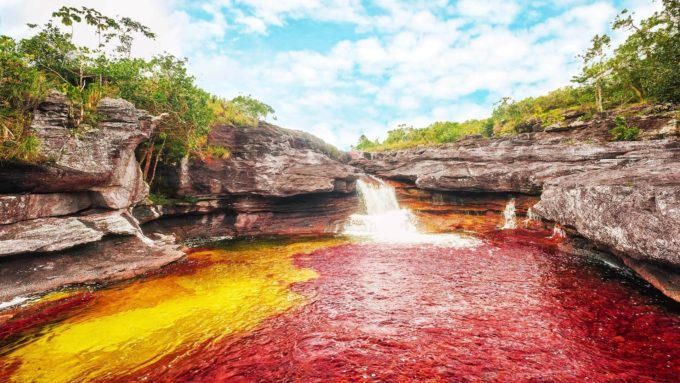 Caño Cristales, Kolombiya