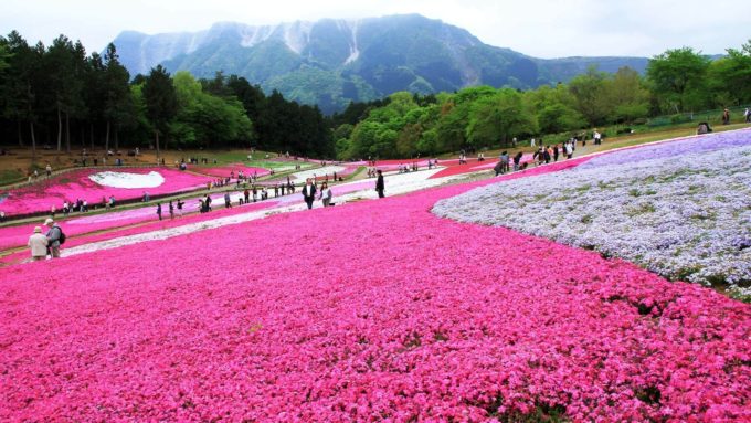 Hitsujiyama Park, Japonya