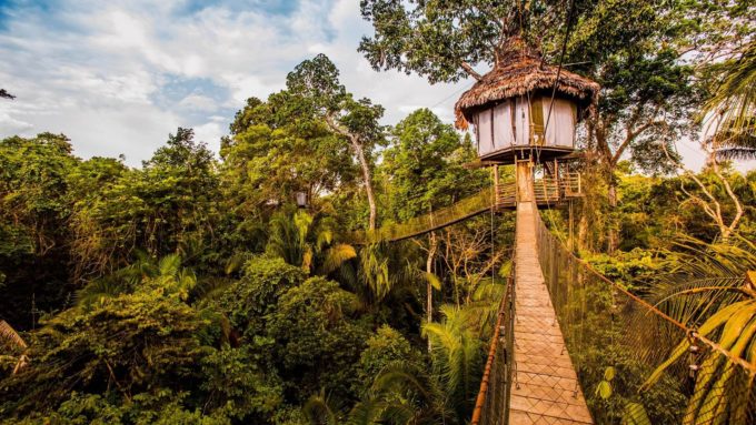 Treehouse Lodge, Iquitos, Peru