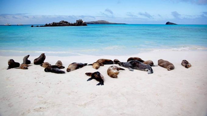Denizi ve Doğayı Severler İçin Galapagos Adaları