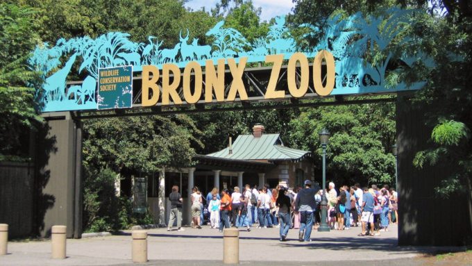 Bronx Hayvanat Bahçesi