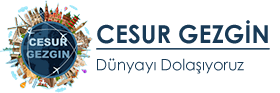 Cesur Gezgin