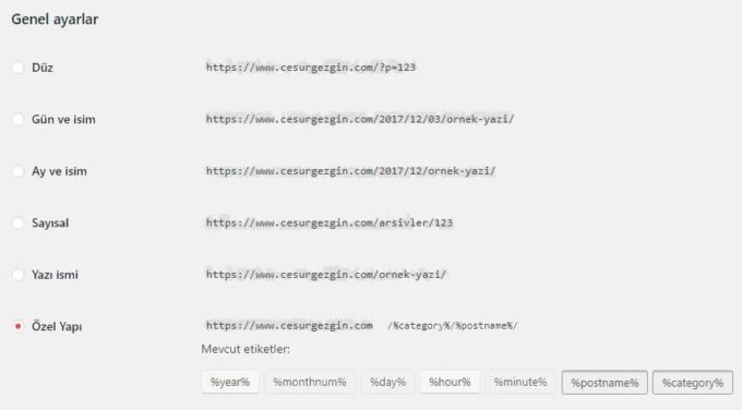Wordpress Kalıcı Bağlantılar