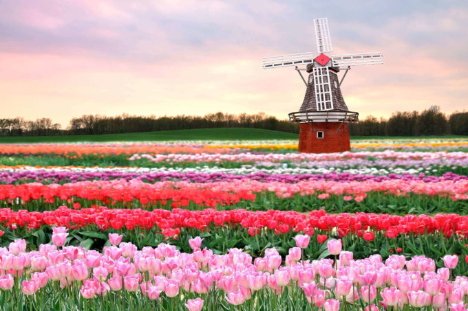 İlkbaharda Gezilecek Yerler Hollanda