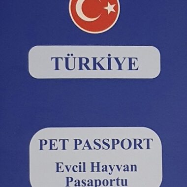 Evcil hayvan pasaportu
